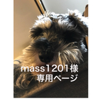 mass1201様専用ページ