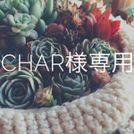 charobox様専用  草花のリース 、スワッグ2点