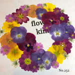 ♡new♡ 送料無料！¥1010 ♡たっぷり押し花セット♡