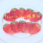 fleur-ami様専用  押しフルーツ 押し花 苺セット
