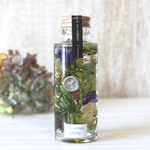herbarium, forest (mini)