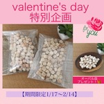 ☆期間限定☆　♡Valentines’day 特別企画♡　オーバル皿プレゼント！【送料無料】
