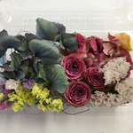 ドライフラワー！花びらtoアジサイ