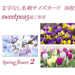   名刺サイズ文字なしカード   30枚  (春の花 2)