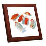 らんちゅうの木枠付きフォトタイル（ 金魚シリーズ ）