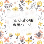 ✳︎harukaho様専用ページです✳︎