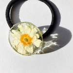 WhiteAnemone