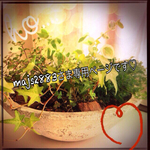 majs2883さま専用ページになります♡