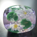 ネオジウム系　睡蓮
