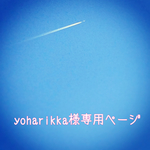 yoharikka様専用ページ