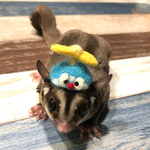 専用ページ