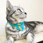 【ピーナッツ柄】猫用バンダナ風首輪／選べるアジャスター 猫首輪 安全首輪 子猫から成猫
