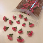 レア色‼︎‼︎ スターチス オレンジ❁