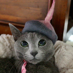 猫用帽子 トンガリ帽子 ラウンドタイプ（受注生産品）