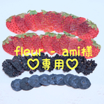 fleur - ami様専用 押しフルーツセット