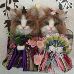 送料無料ノルウェージャン猫のお雛様