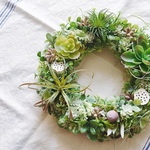 Succulent plants7 多肉植物のリース