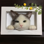羊毛フェルト 壁掛け窓ねこ 柚子