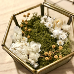 ⌘フラワー増量⌘*+六角形ガラス リングピロー+*