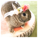 バラの花冠
