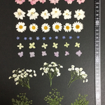 押し花  特別オーダー品 NO.878