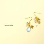 再販**spring midnight