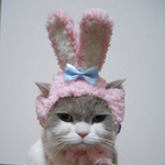 🐰ピンクうさぎ 猫用帽子 犬用帽子