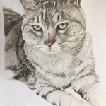 ペットの似顔絵承ります