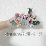 chamiqvs様専用ページ 