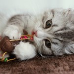 erikonaha様専用ページ