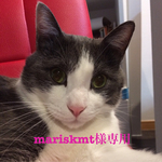 mariskmt様専用