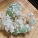 花材 アナベルアジサイ ミントフロート