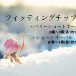 フィッティングチップ