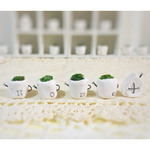 ＊ふぞろいジョーロセット＊おうち1つ付きHome