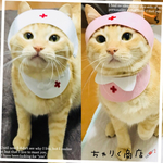送料無料☆彡《受注製作》なりきりニャース♡ナースのコスプレ風〜猫の首輪