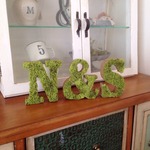【nozominagi様オーダーページ】moss moss♡