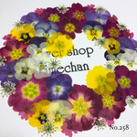 ♡new♡ 送料無料！¥1260 ♡たっぷり押し花セット♡
