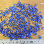 ドライフラワー 矢車草 花びら ブルー コーンフラワー ハーブ キャンドル レジン アクセサリー 材料 送料無料 