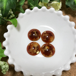 ⑩ブラウン×ゴールド シェル風カボション 18mm 4個