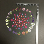 押し花  特別オーダー品 NO.886