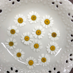 マトリカリア(押し花)