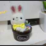 ＊うさちゃん　miniカップ入り＊