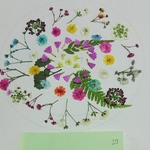 押し花素材 27
