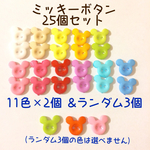 ミッキープラボタン25個セット