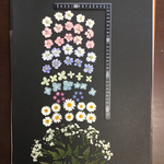 押し花  特別オーダー品 NO.888