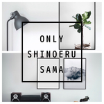 shiroeru様専用