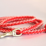 かわいいワンちゃん用パラコードリード