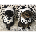 再入荷！モーモー牛柄ケープ、猫ちゃんの首輪