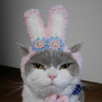 [花] 🐰ピンクうさぎ