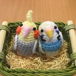 agoagoagoagoさま♡ご注文専用ページ:セキセイインコ・オカメインコペア セット